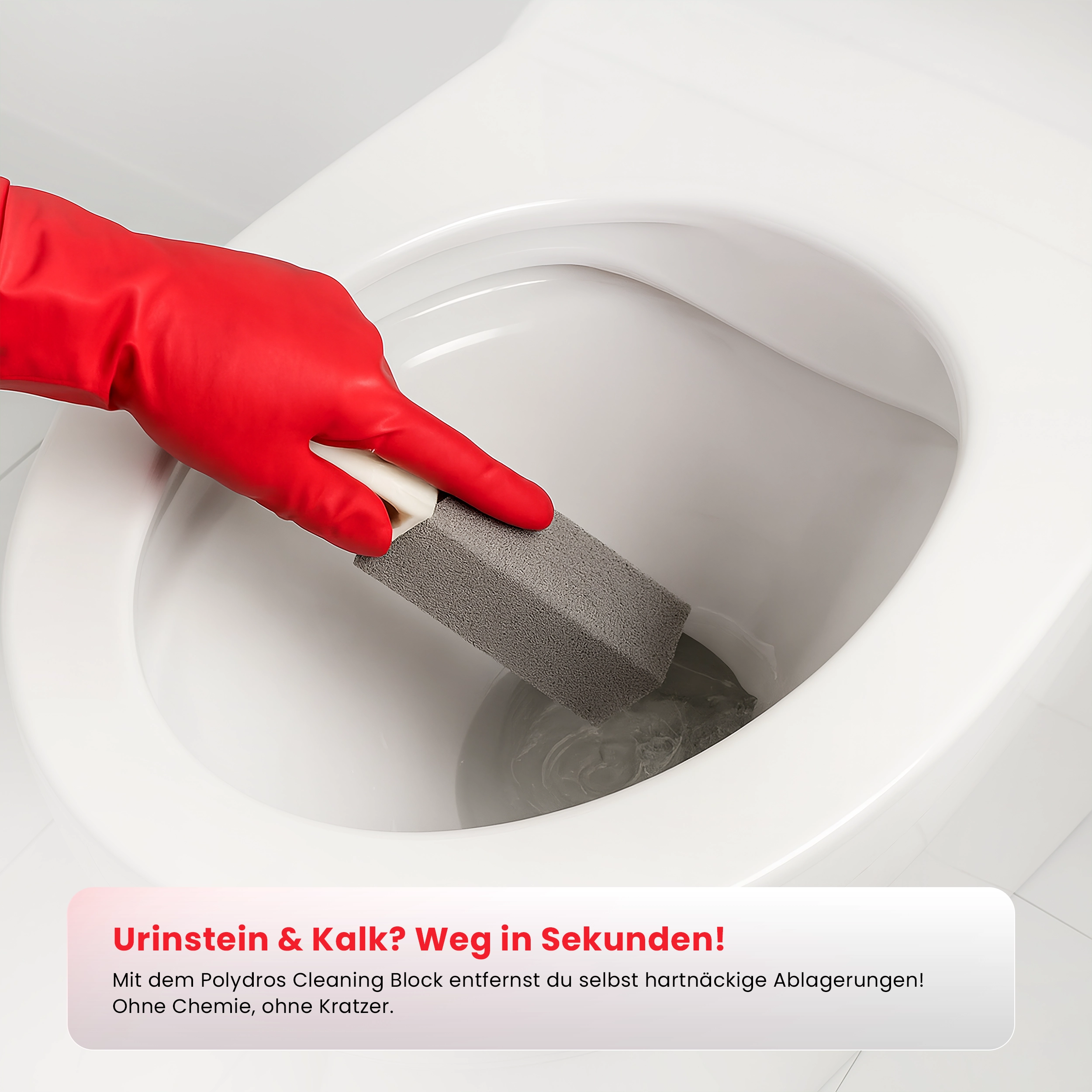 Power-Set: Bimsstein & EcoSani 3G Sanitärreiniger – Entfernt Urinstein, Kalk & Rost mühelos